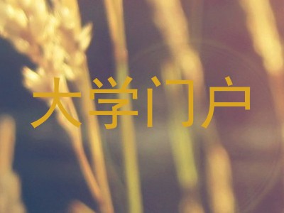 大学门户