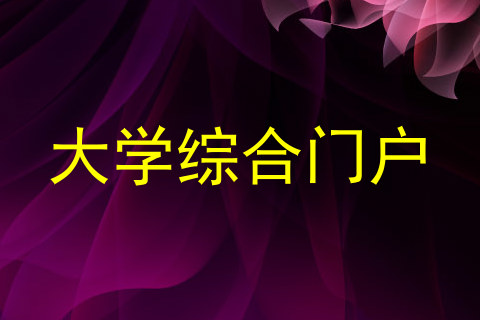 大学综合门户