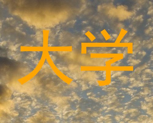 大学