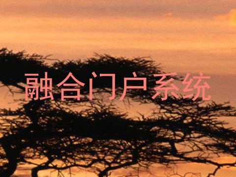 融合门户系统