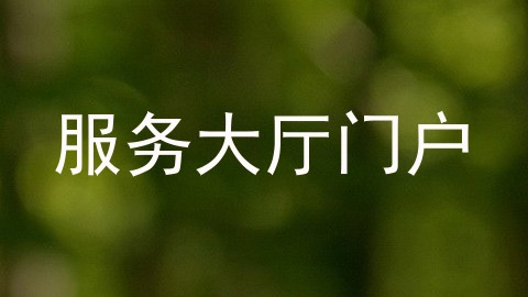 服务大厅门户