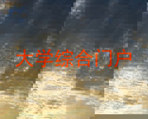 大学综合门户