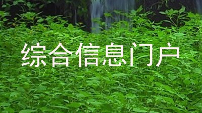综合信息门户