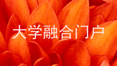 大学融合门户