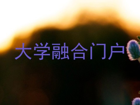 大学融合门户