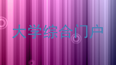 大学综合门户