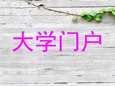 大学门户