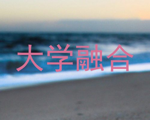 大学融合