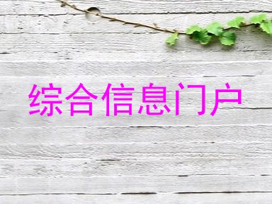 综合信息门户