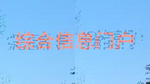 综合信息门户