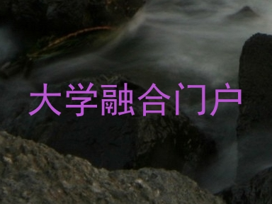 大学融合门户