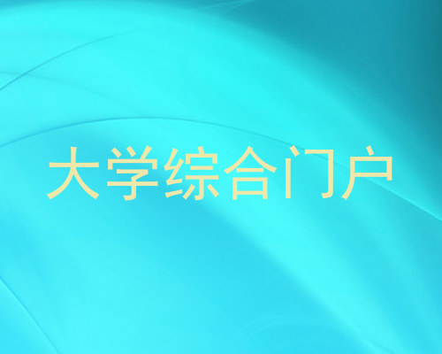大学综合门户