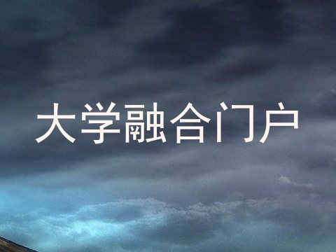 大学融合门户