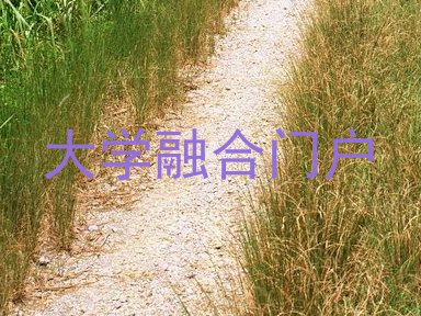 大学融合门户