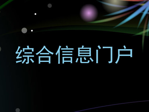 综合信息门户
