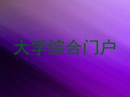 大学综合门户