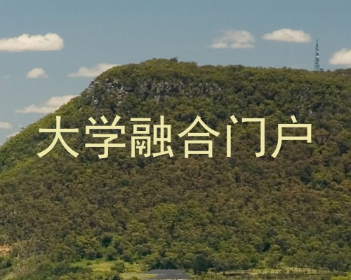 大学融合门户