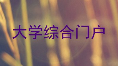 大学综合门户