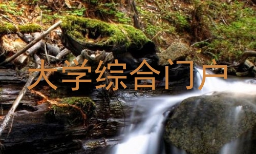大学综合门户