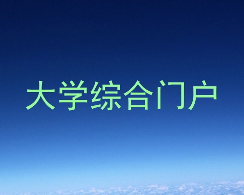 大学综合门户