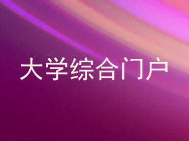 大学综合门户