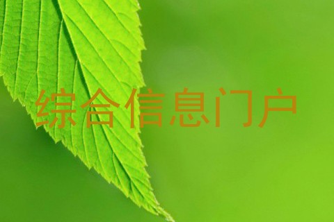 综合信息门户