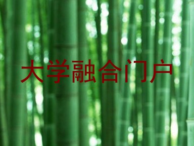 大学融合门户