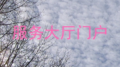 服务大厅门户