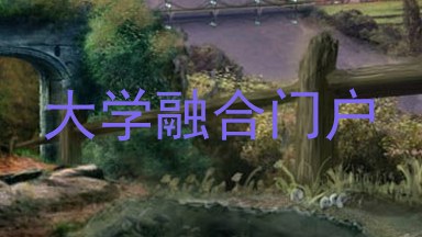 大学融合门户