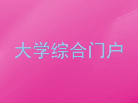 大学综合门户