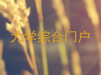 大学综合门户