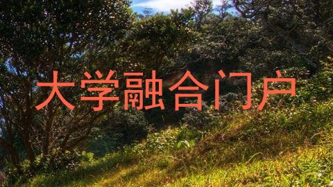 大学融合门户