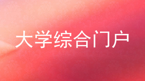 大学综合门户