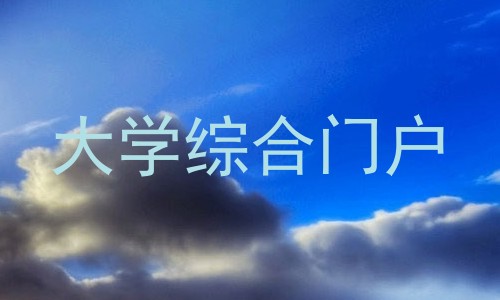 大学综合门户