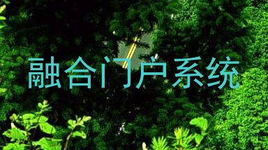 融合门户系统