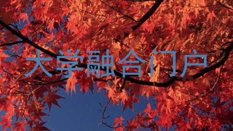 大学融合门户