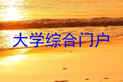 大学综合门户