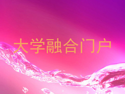 大学融合门户