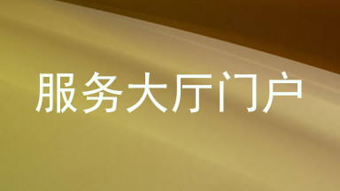 服务大厅门户