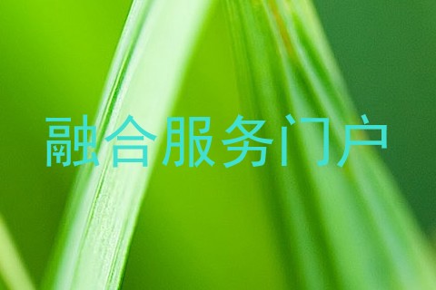 融合服务门户