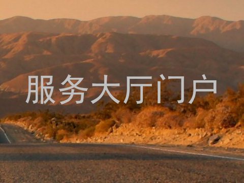 服务大厅门户