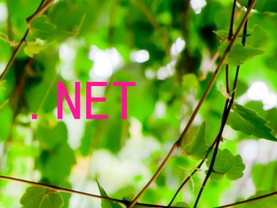 .NET