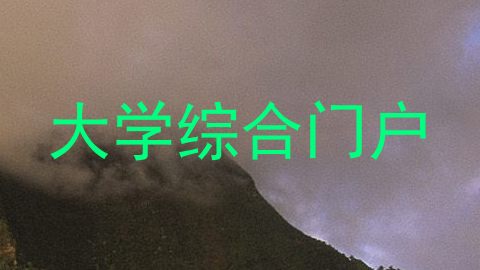 大学综合门户