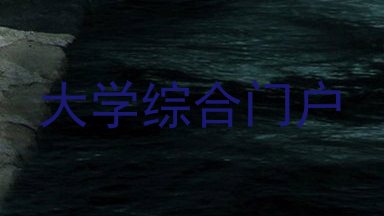 大学综合门户