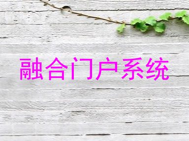 融合门户系统