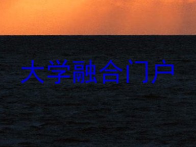 大学融合门户