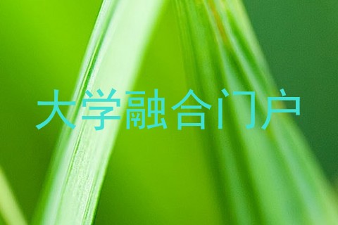 大学融合门户