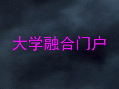 大学融合门户