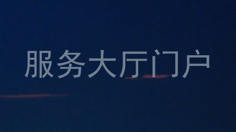 服务大厅门户