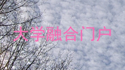 大学融合门户
